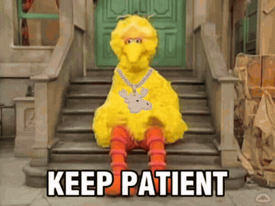Big Bird From Sesame Street Is Sitting On A Set Of Stairs With The Words " Keep Patient " Written Below Him GIF