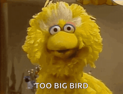 Big Bird From Sesame Street Is Standing In Front Of A Window And Saying Too Big Bird . GIF