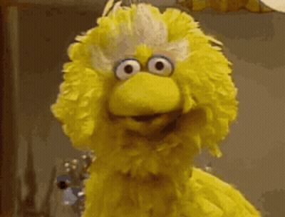 Big Bird From Sesame Street Looking Serious GIF