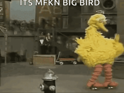 Big Bird From Sesame Street Riding Roller Skates GIF