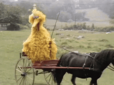 Big Bird Is Pulling A Horse Drawn Carriage Through A Field GIF