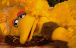 Big Bird Lying On The Floor GIF
