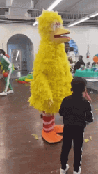 Big Bird Mascot Not Moving GIF