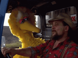 Big Bird GIF