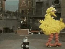 Big Bird Roller Skating On Street GIF