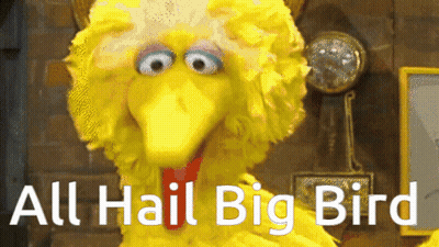 Big Bird Sesame Street All Hail Big Bird GIF