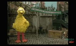 Big Bird Sesame Street Alphabet GIF