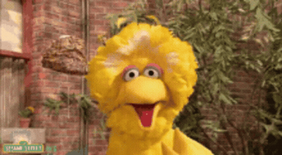 Big Bird Sesame Street Before Brick Wall GIF
