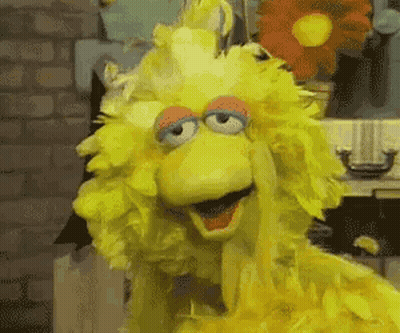 Big Bird Sesame Street Yellow Feathered Costume GIF