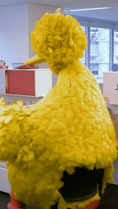Big Bird Sitting On Desk GIF