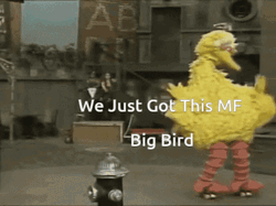Big Bird Skating In Street GIF