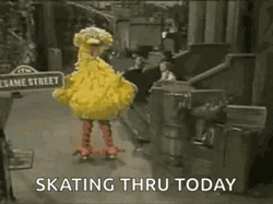 Big Bird Skating Thru Today GIF