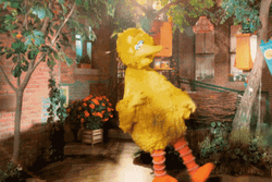 Big Bird Slow Motion Side Jump GIF