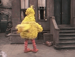 Big Bird Spinning Around GIF