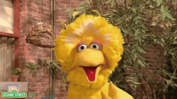 Big Bird Talking In Sesame Street GIF
