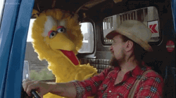 Big Bird Waylon Jennings Sesame Street GIF