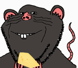 Big Black Rat Meme GIF