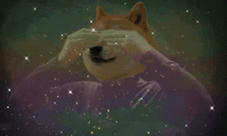 Big Brain Meme Dog Parody GIF