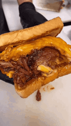 Big Brisket Sandwich GIF