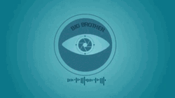 Big Brother Is Watching You Again GIF