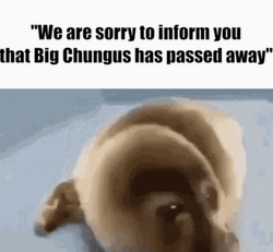 Big Chungus Passed Away Sad Seal GIF