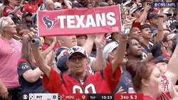 Big Crowd Cheering For Houston Texans GIF