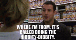 Big Daddy Adam Sandler Talking At Grocery GIF