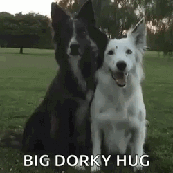Big Dawg Dorky Hug GIF