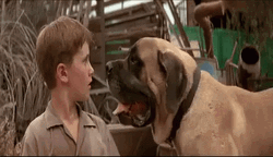 Big Dawg Kisses GIF