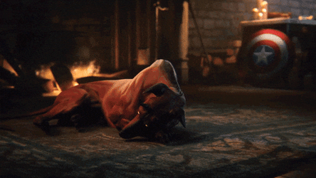 Big Dog Fighting Demon Slayer GIF