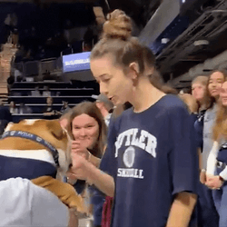 Big Dog Gets Head Rubs From Fans GIF