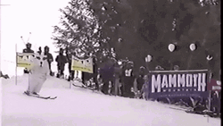 Big Dog Skiing Down Snow Mountain GIF