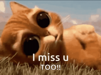 Big-Eyed Cat Laying In Grass Says I Miss U Too GIF