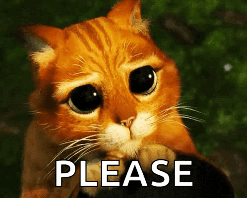Big Eyed Cat Saying Please GIF