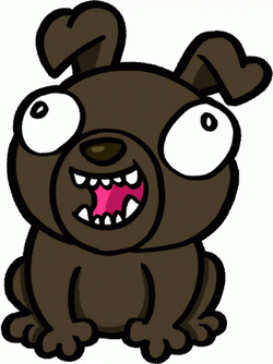 Big Eyed Dog Laughing GIF