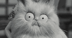Big Eyes Mr. Whiskers Frankenweenie GIF