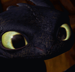Big Eyes Toothless GIF