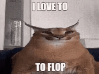 Big Floppa Flop GIF