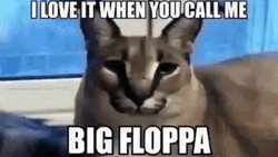 Big Floppa True Playa Video Clip GIF