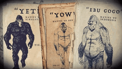 Big Foot Convincing Evidence GIF