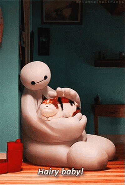 Big Hero 6 Character Holding Cat Saying Hairy Baby GIF