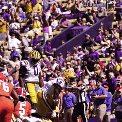 Big Hits Football Ecstatic Air Punch Loop GIF