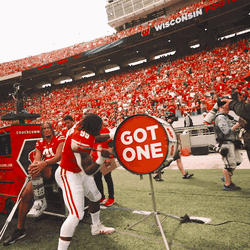 Big Hits Football Wisconsin Badgers Football GIF