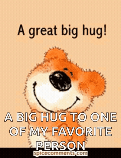 Big Hug To Favorite Person GIF