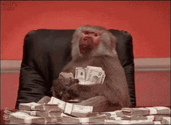 Big Money Monkey Big Smile GIF