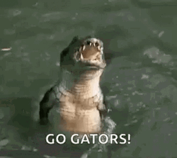 Big Mouth Gators GIF