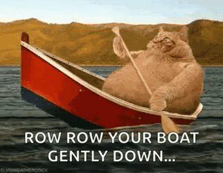 Big Orange Cat Row The Boat GIF
