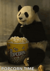 Big Panda Popcorn Eating GIF