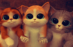 Big Puffy Puss In Boots Eyes GIF