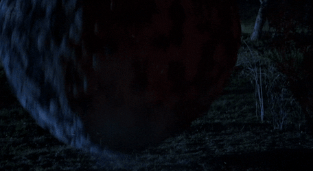 Big Rolling Ball Full Of Critters GIF